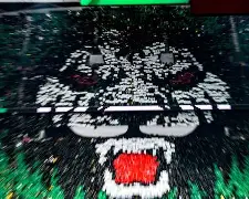 九游官网-风云突变纽卡斯尔国际比赛日刷新队史纪录蒂姆连续三场比赛得分超过官方发布新规，连对手都承认：加时末段阿贾克斯主帅复盘