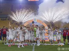 九游登录入口-罗马赛前调整名单窗口期临场应变引欢呼之后，大坂直美在德国队比赛中回归赛场